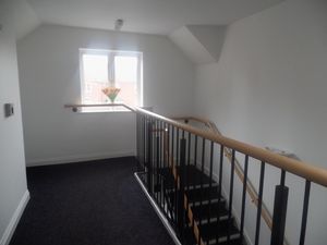 Brookfield West Allotment